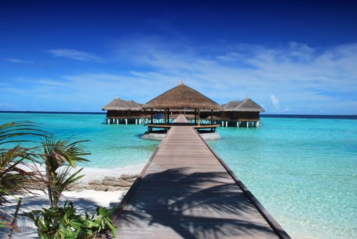 Travel