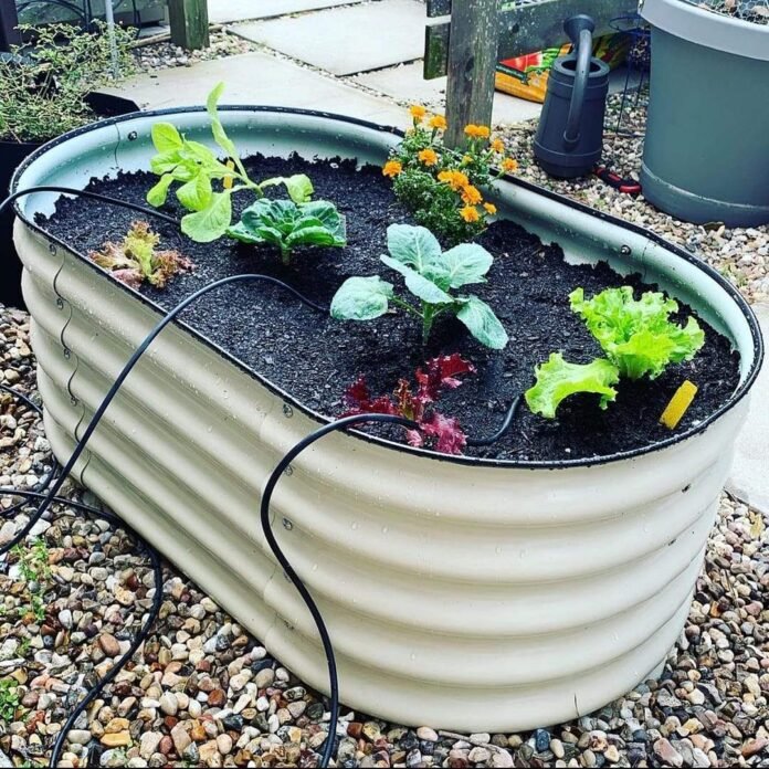diy garden ideas